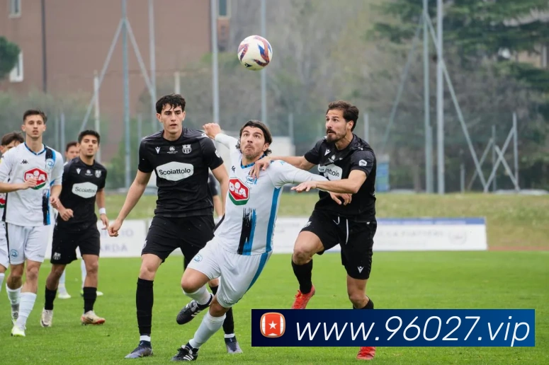 互动解说服务